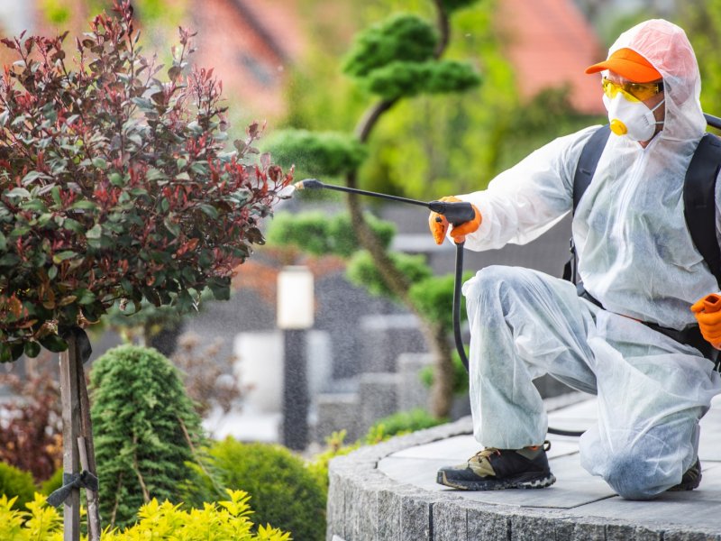 Sarıyer Haşere İlaçlama